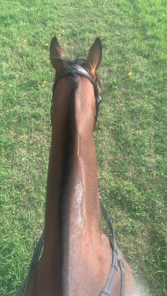 Obrázek nahrál Simča