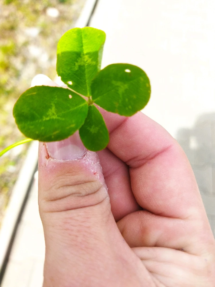 Obrázek nahrál Matěj