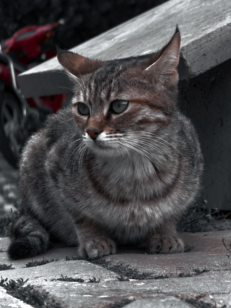 Ahmet tarafından yüklenen görsel