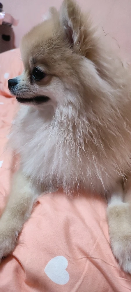 Katherine上傳的圖片