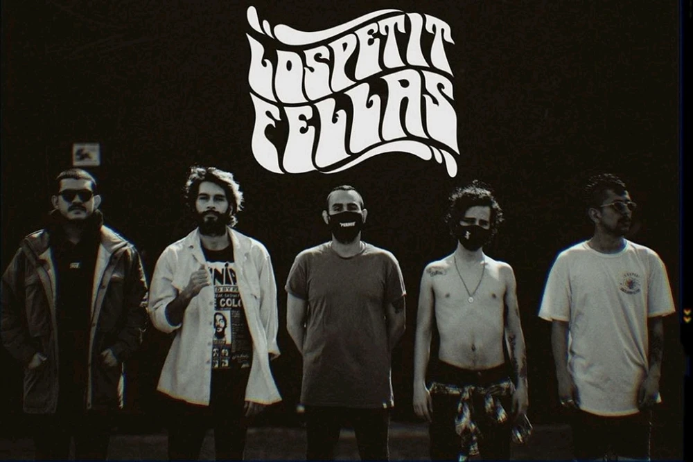 RECOMENDACIÓN: PETIT FELLAS