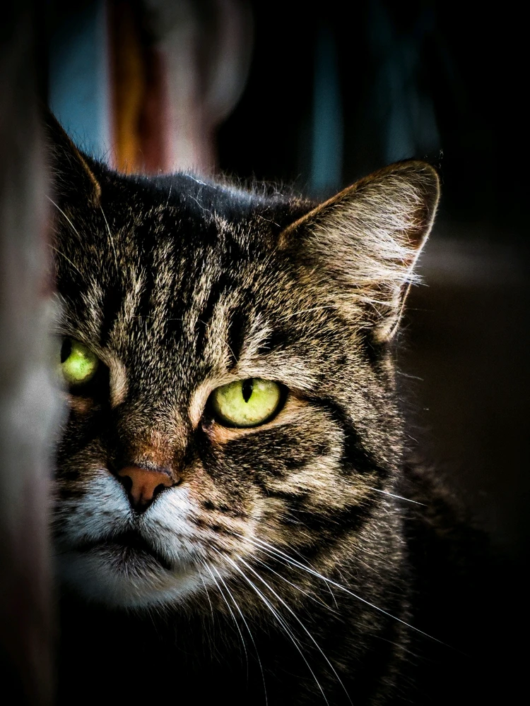 Image uploaded by Branko