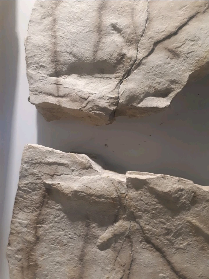 Bild hochgeladen von Herbert = ᚺᛖᚱᛒᛖᚱᛏ