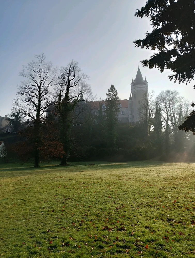 Obrázek nahrál Katty