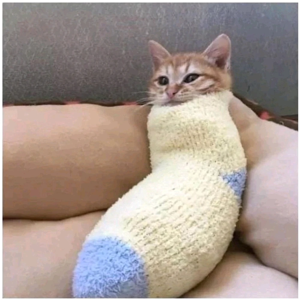 Image uploaded by 𝓐𝓵𝔂𝓼𝓼𝓪