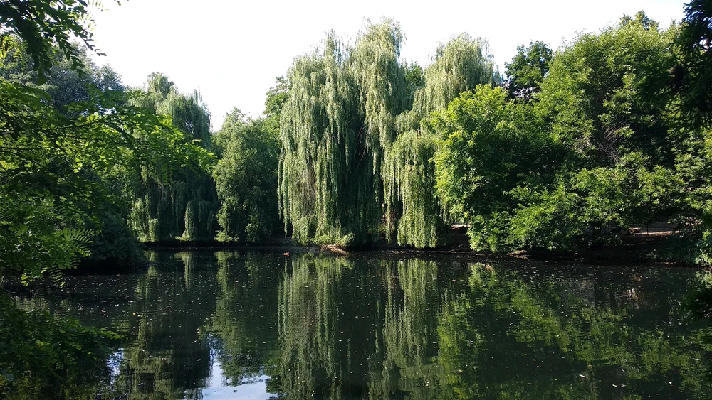 Фото загрузил Александр