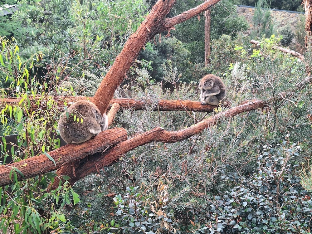 Immagine caricata da Matteo