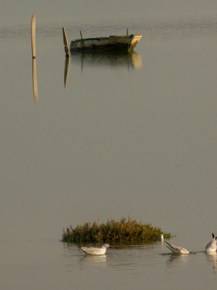 Image ajoutée par Namou