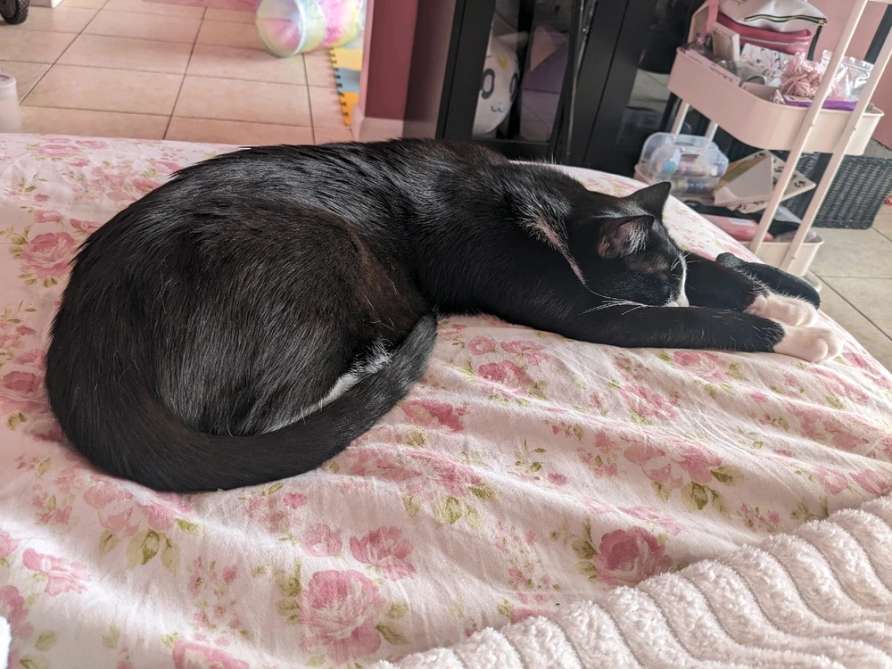 Image uploaded by Dai