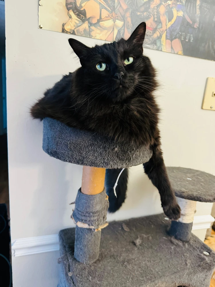 Image uploaded by Bryce