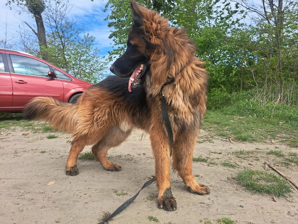 Zdjęcie dodane przez Kamil