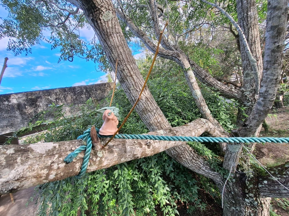 Imagen subida por Brian