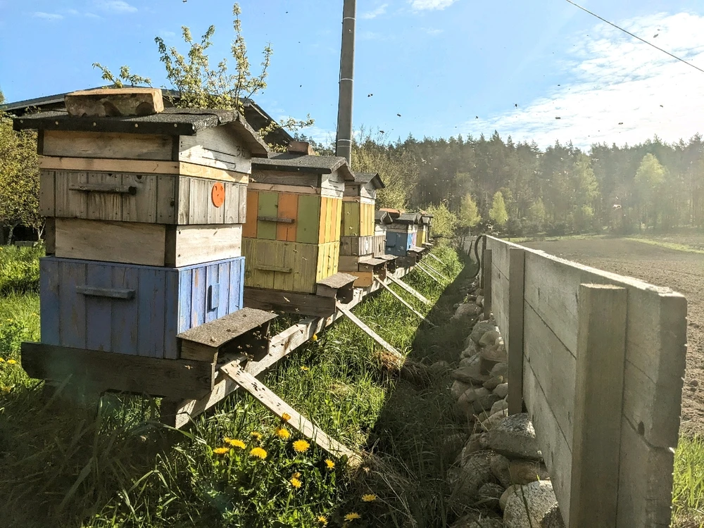 Zdjęcie dodane przez Krystian