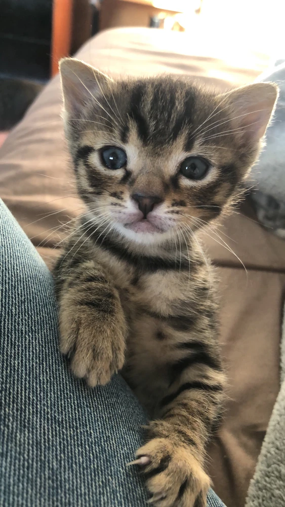 Immagine caricata da gaya