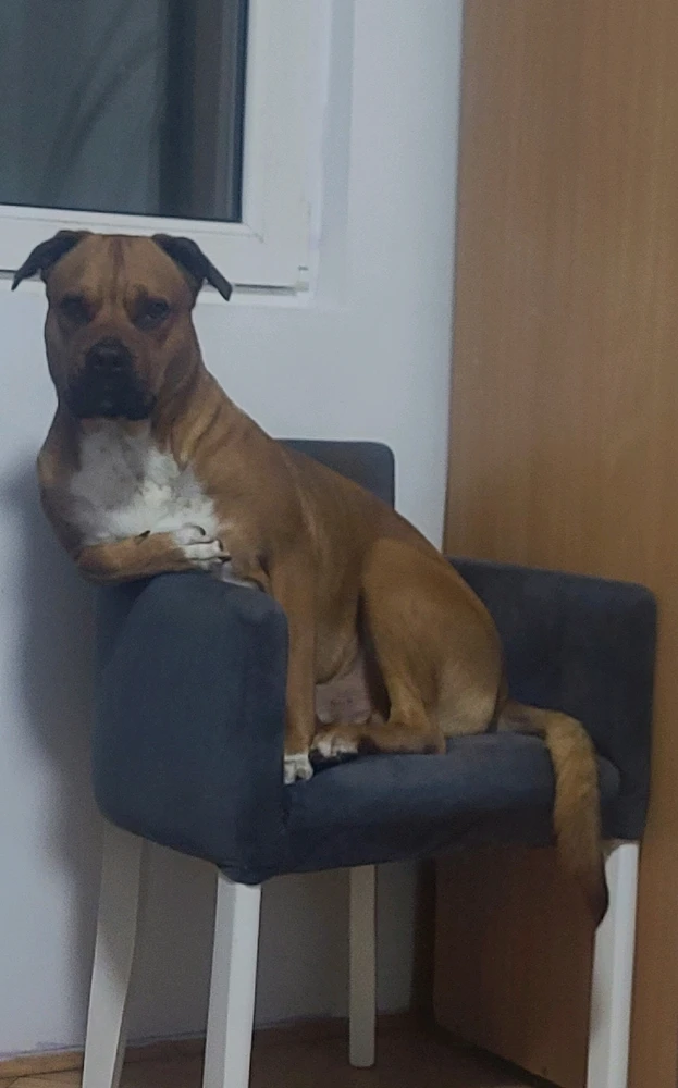 Sliku je postavio/la Dragan