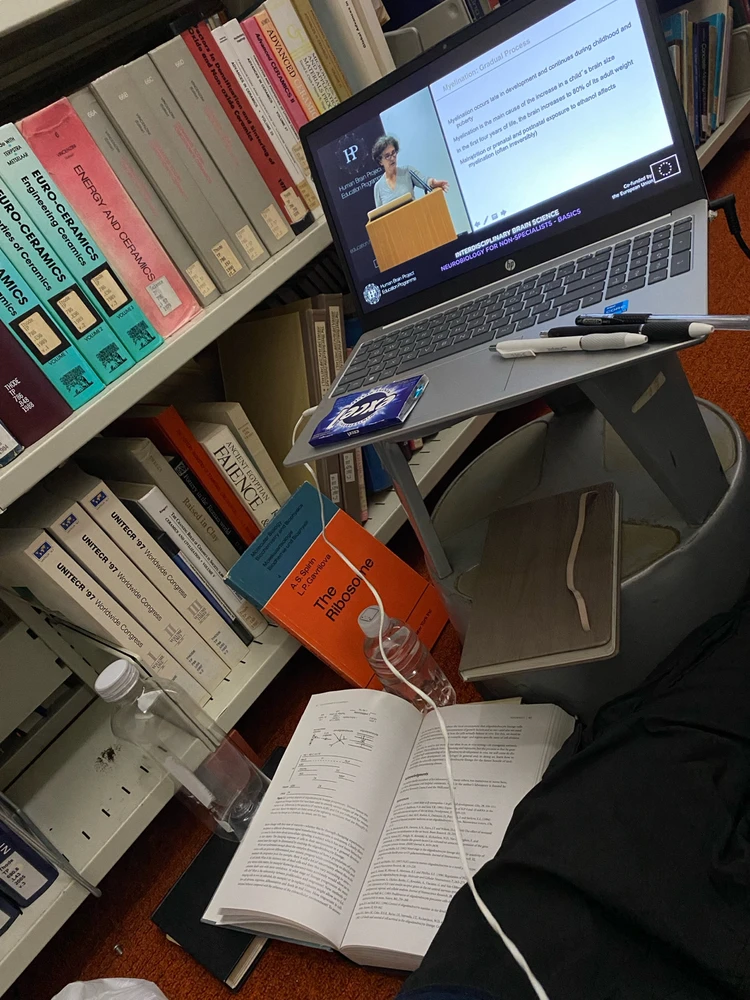 Image uploaded by Malik