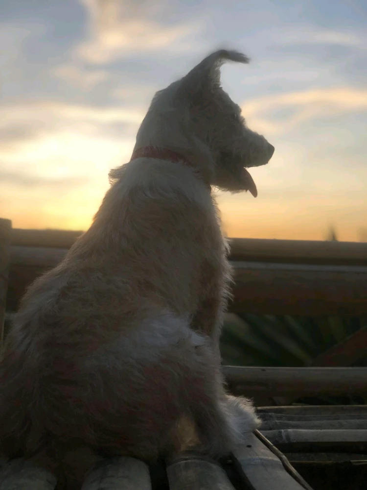 Image uploaded by Rhen