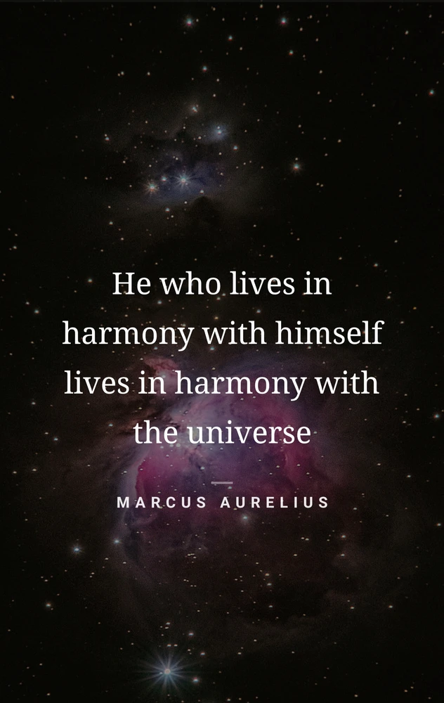 Image uploaded by Matt