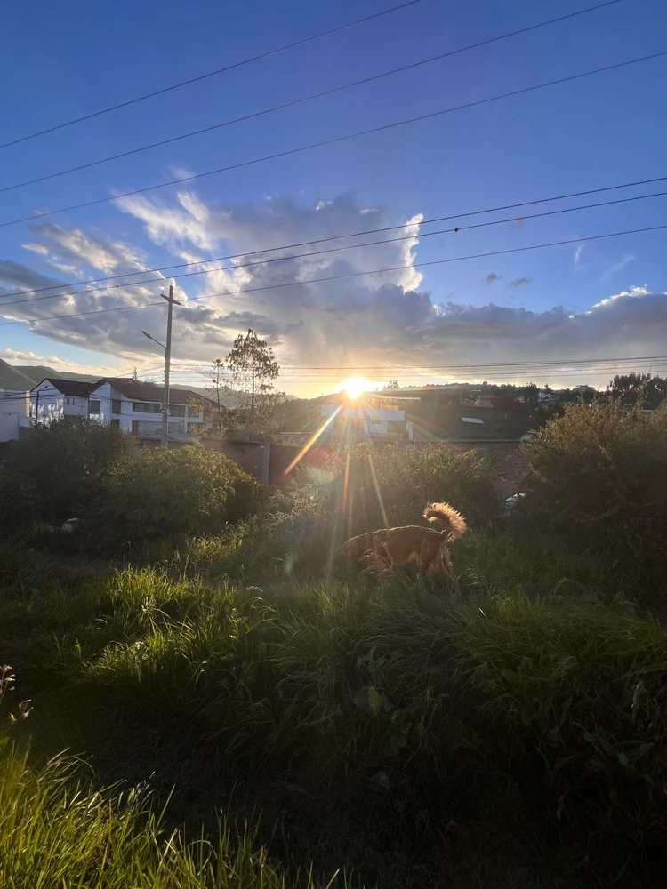 Imagen subida por Carolina