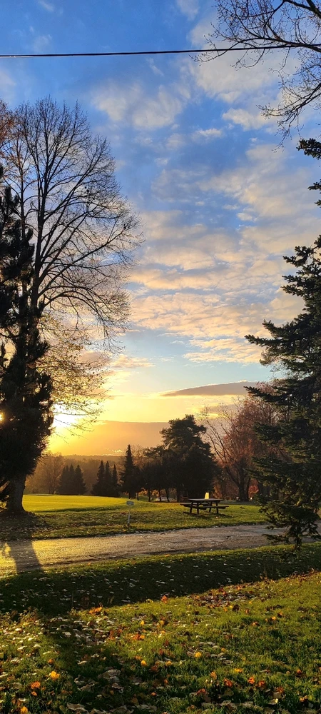 Bild hochgeladen von Johnnyriff