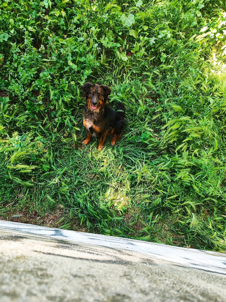 Image ajoutée par Elwinna