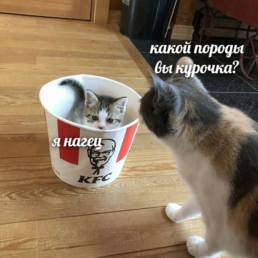 Фото загрузил Anton