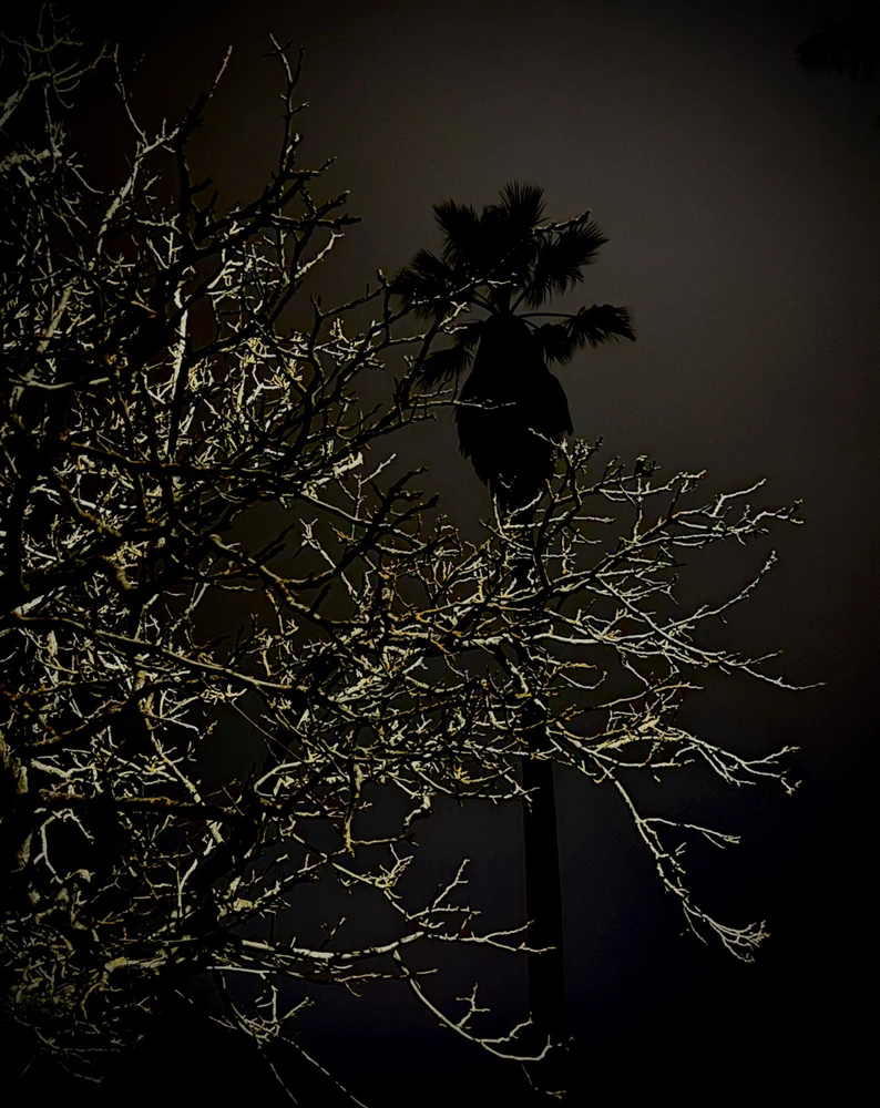 Image uploaded by Anton