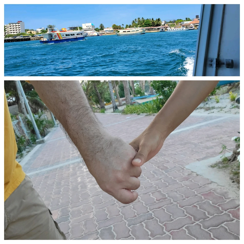 Avalon上傳的圖片