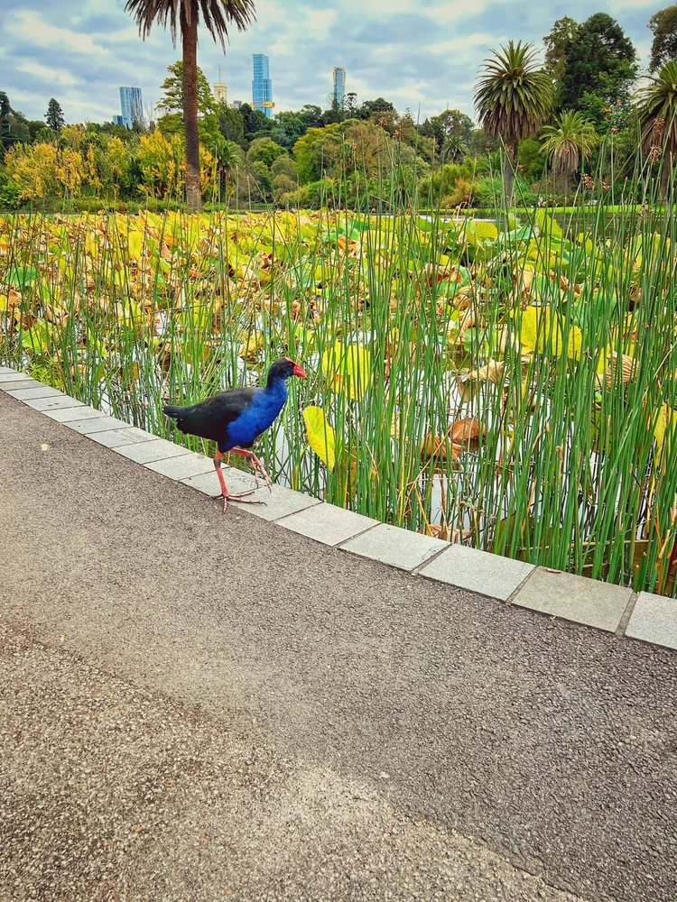 Immagine caricata da Chris