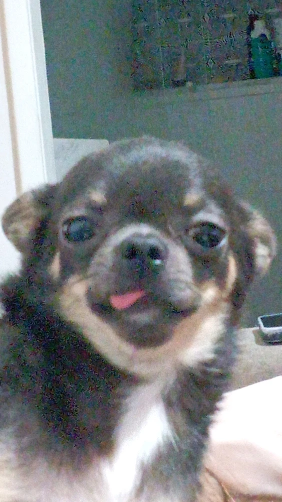 Imagem enviada por Carol d'Aquino