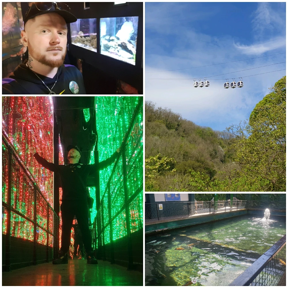Gi-upload ni Markus S. Parker ang hulagway