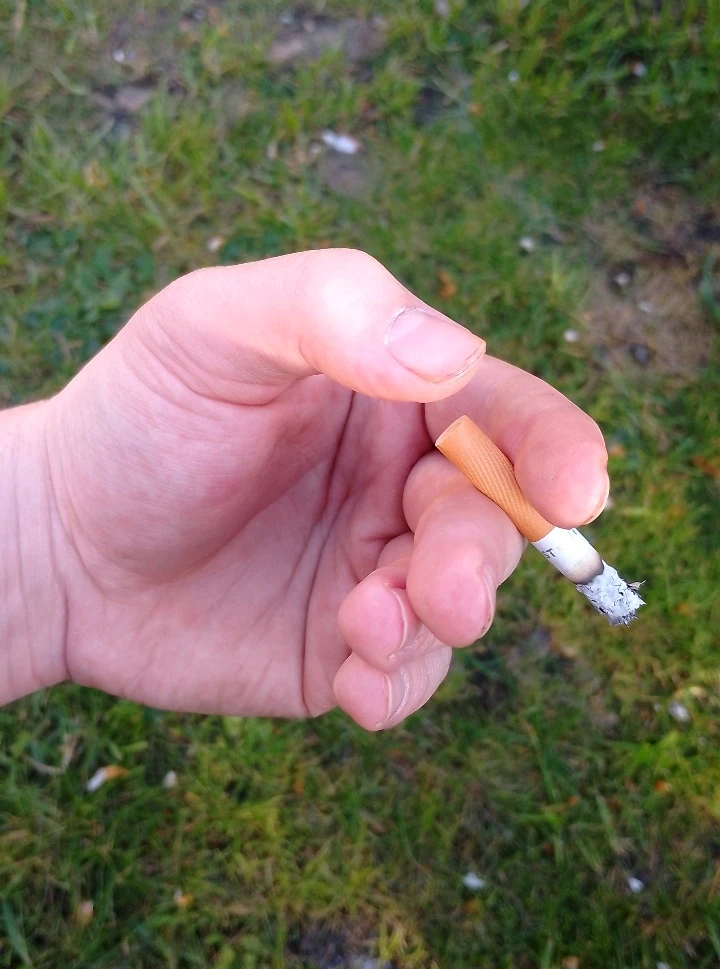 Obrázek nahrál Radovan