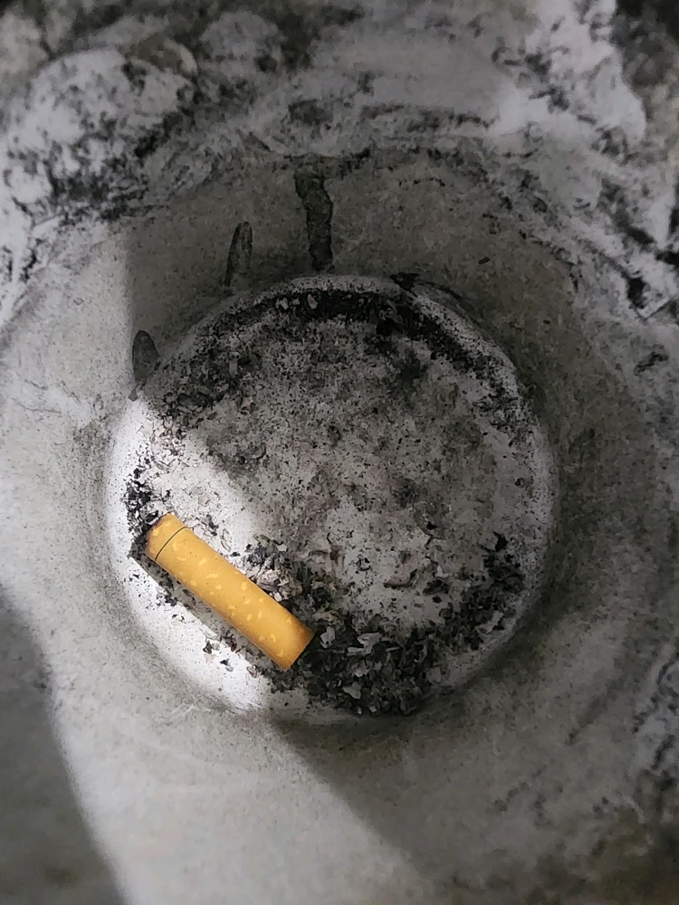 Image uploaded by MEM