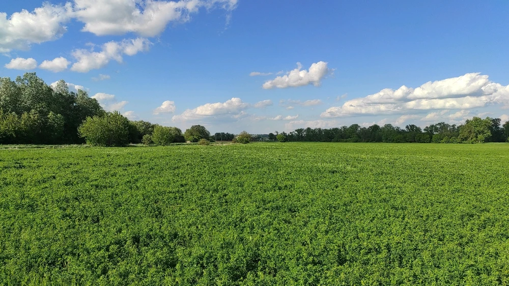 Obrázek nahrál Pawel