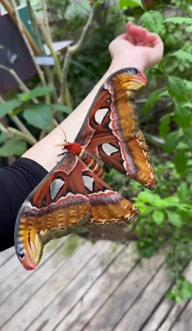 Image uploaded by Eleanor