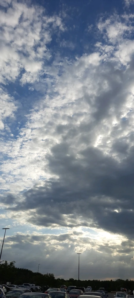 Image uploaded by Alexander