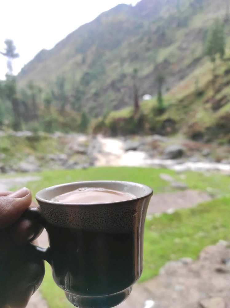 Image uploaded by Ahmed