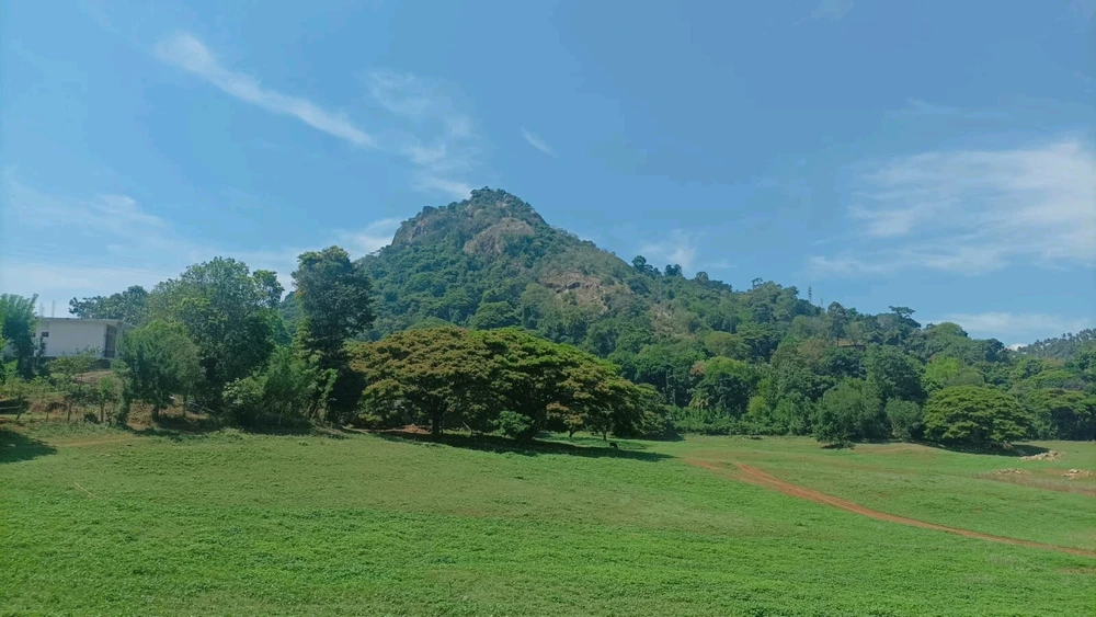 Image uploaded by Peony