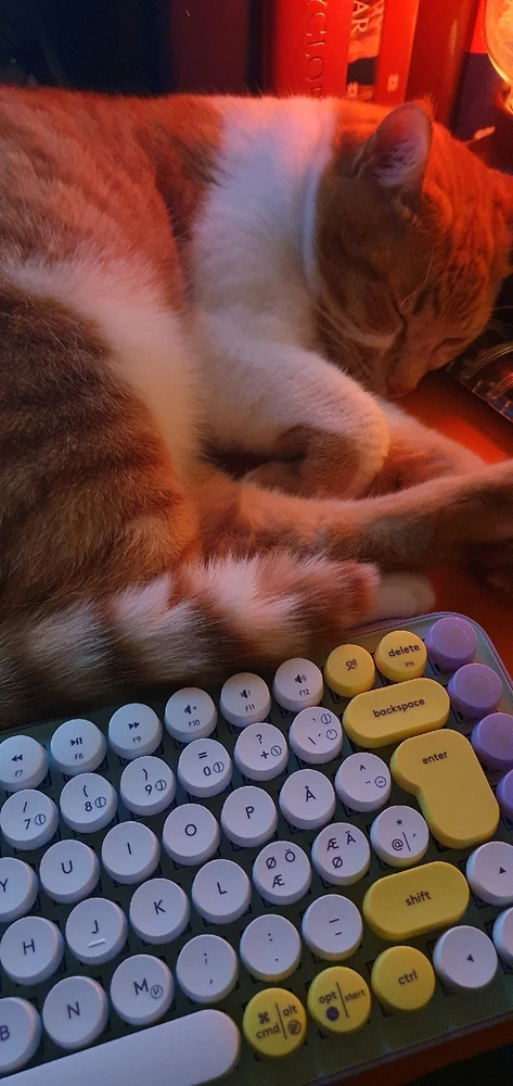 Mynd sett inn af Marsý