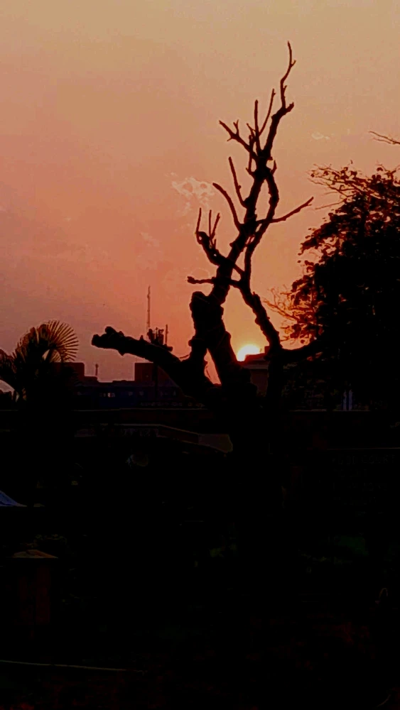 Image uploaded by Arman