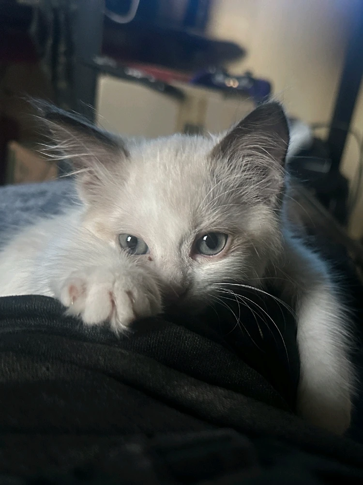 Image uploaded by Kaybee