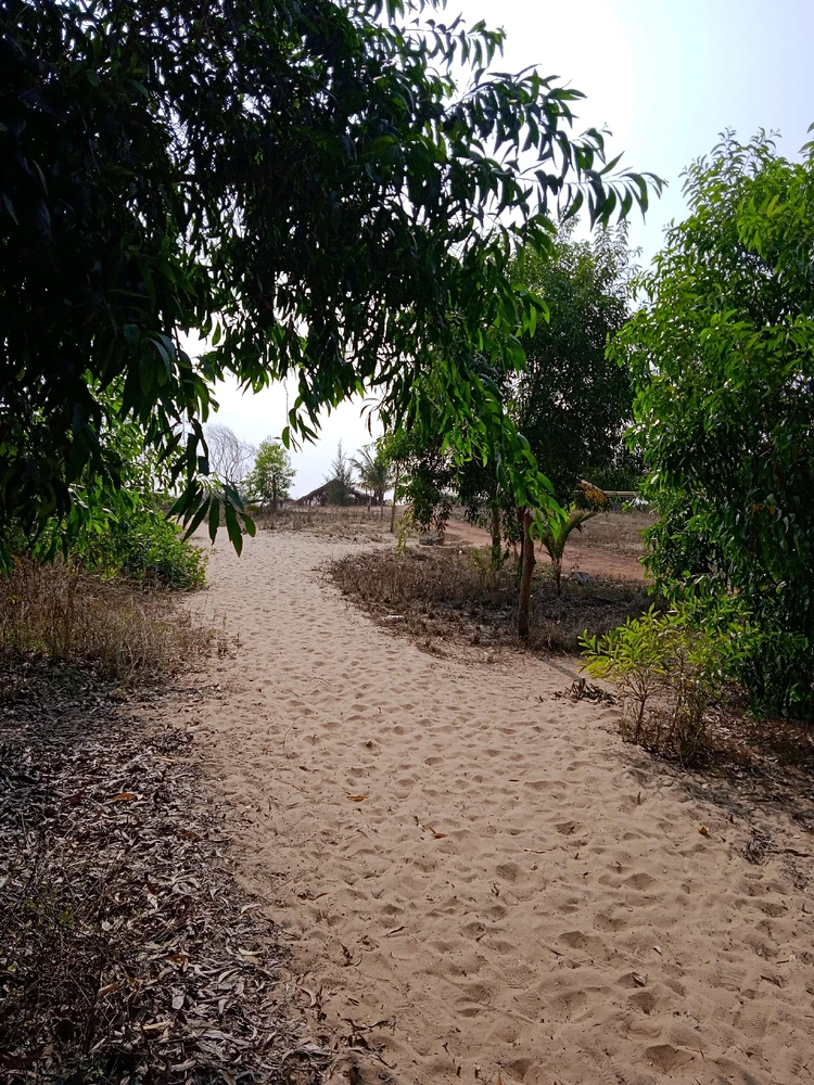 Image uploaded by Marcio Ferns