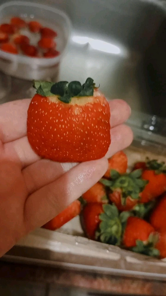 Imagen subida por Jacqueline