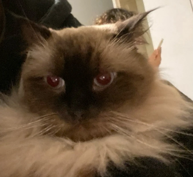 Image uploaded by Salo