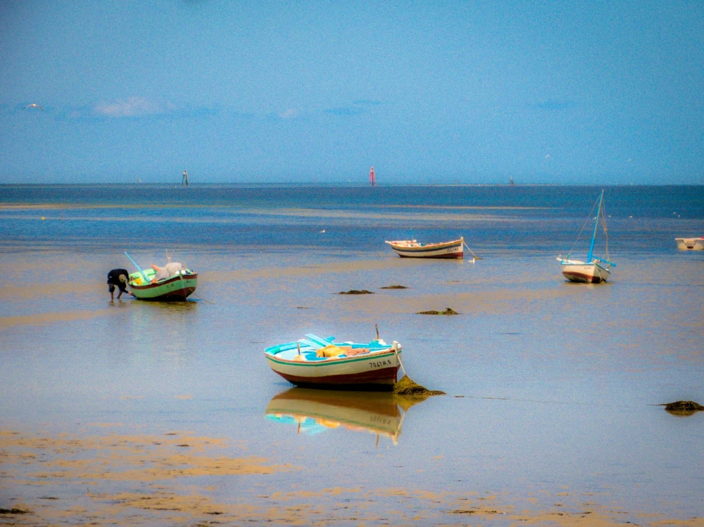 Image ajoutée par Namou