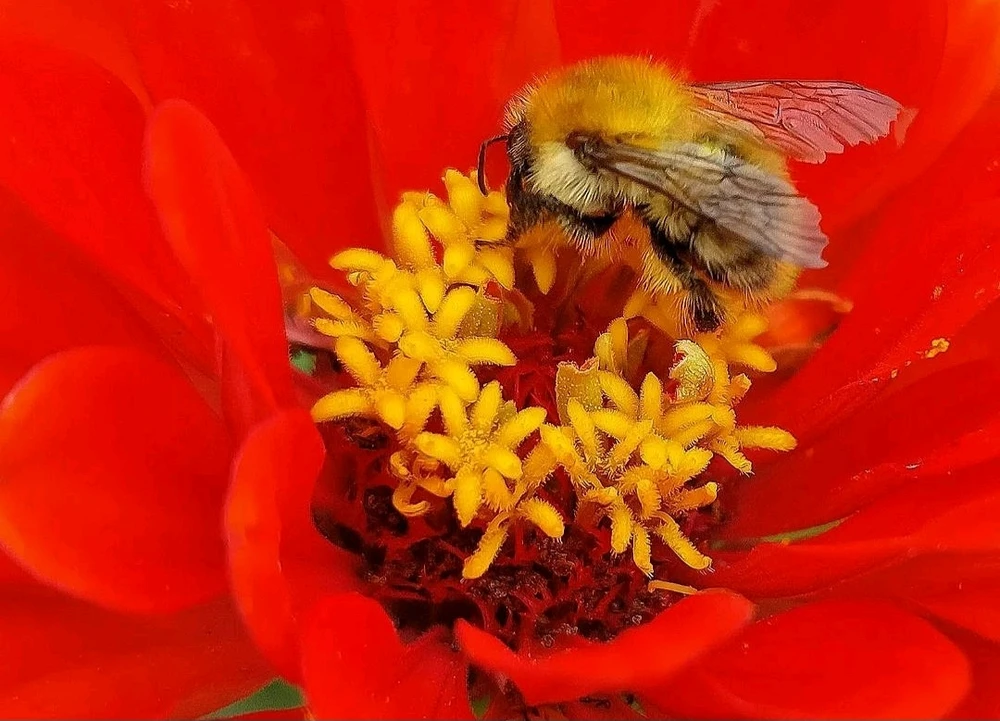 Image ajoutée par Caroline