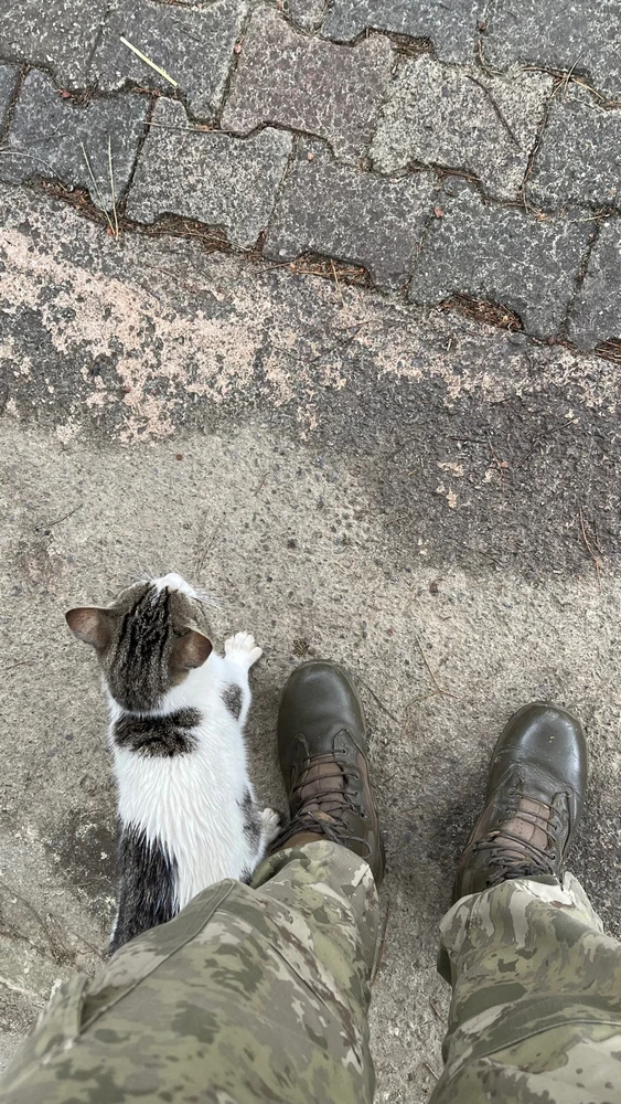 Fatih Mehmet tarafından yüklenen görsel
