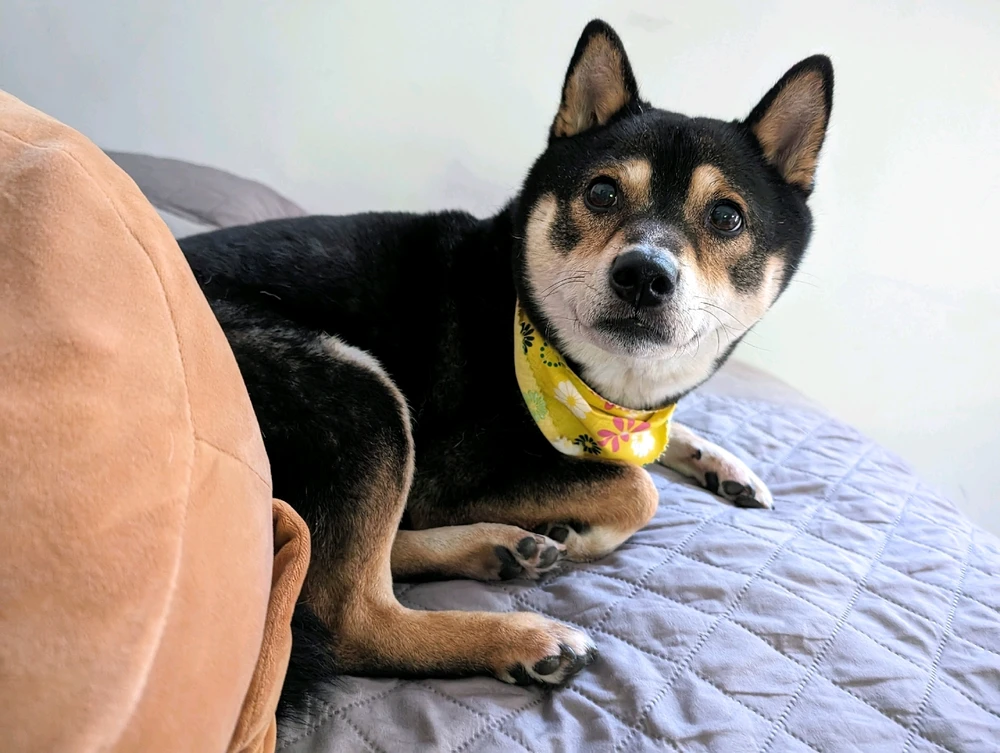 Image uploaded by Amanda