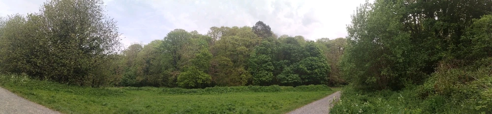 Image uploaded by Piotr