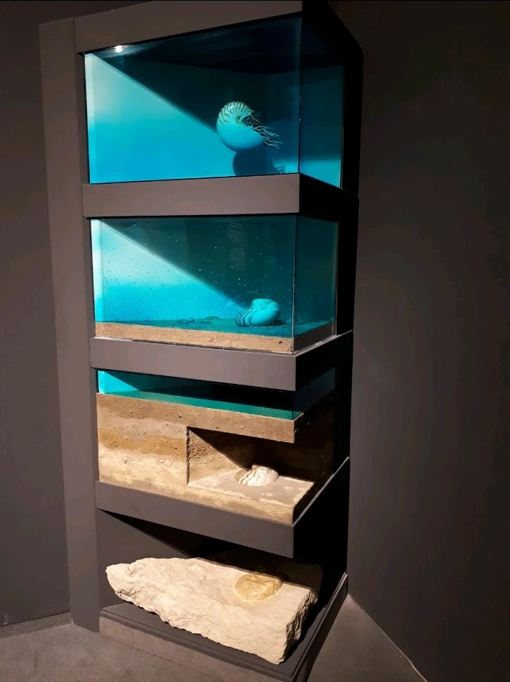 Bild hochgeladen von Herbert = ᚺᛖᚱᛒᛖᚱᛏ